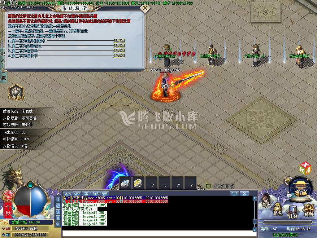 巫师日记专属神器单职业-esp/sd插件