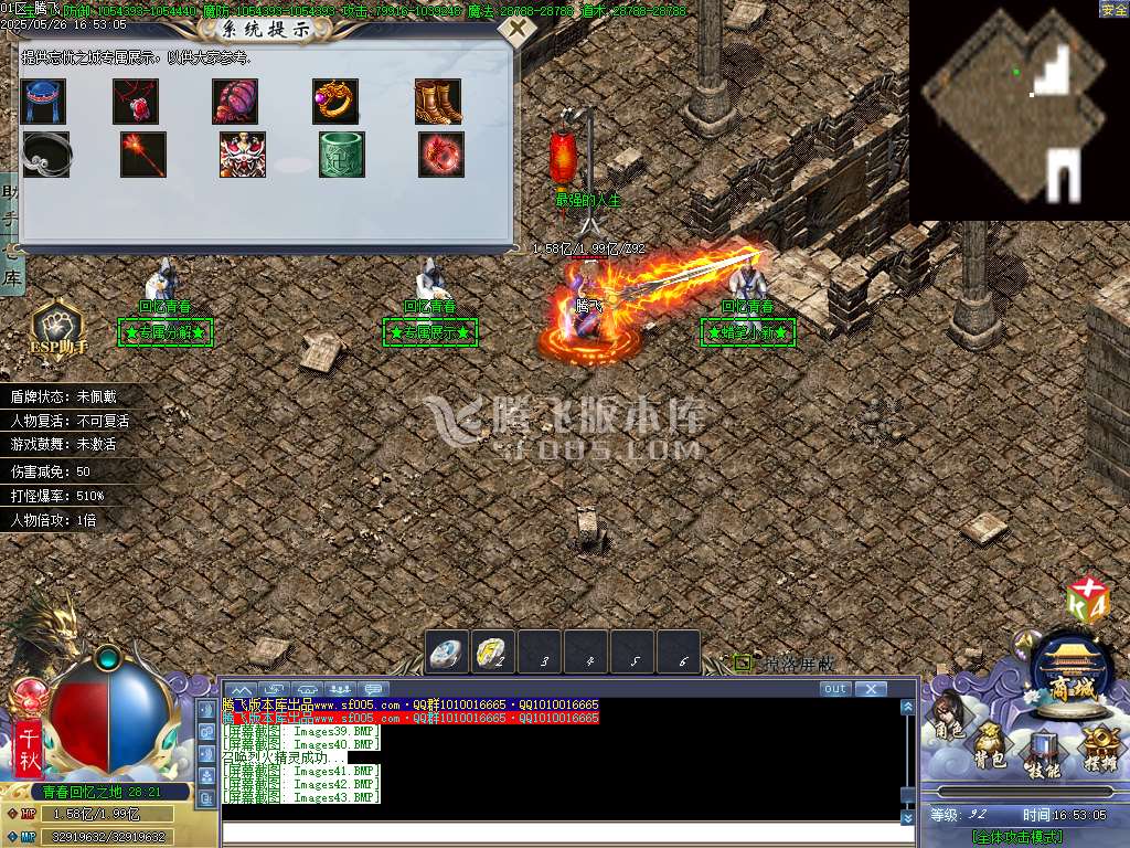 巫师日记专属神器单职业-esp/sd插件