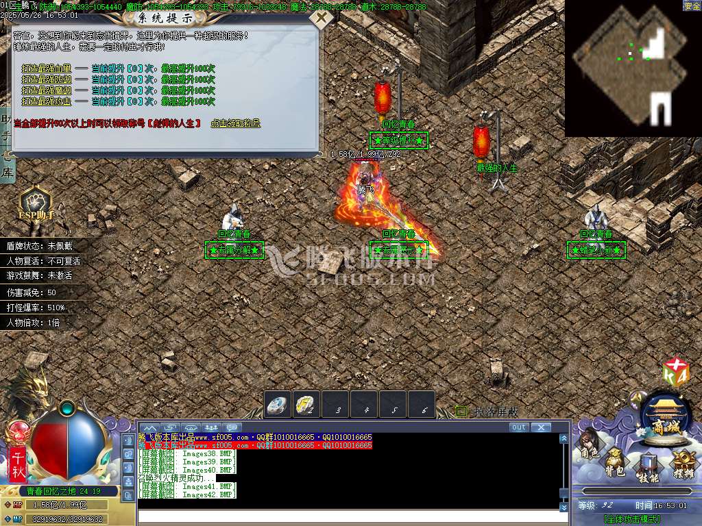 巫师日记专属神器单职业-esp/sd插件