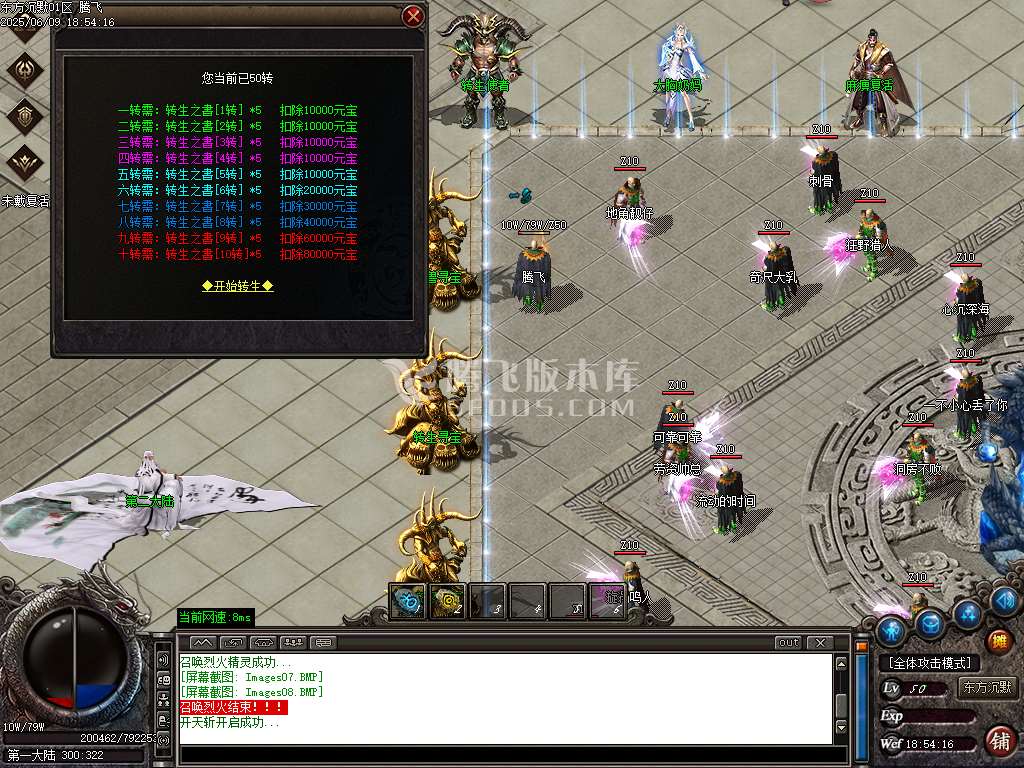 东方沉默单职业-esp插件