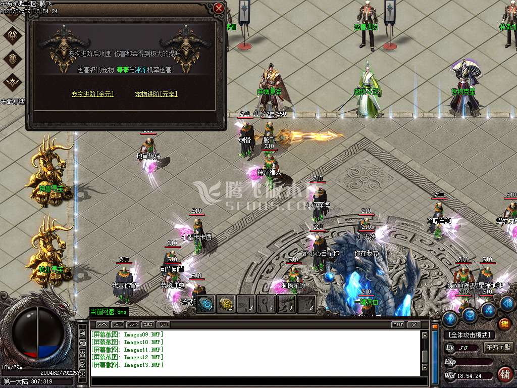 东方沉默单职业-esp插件