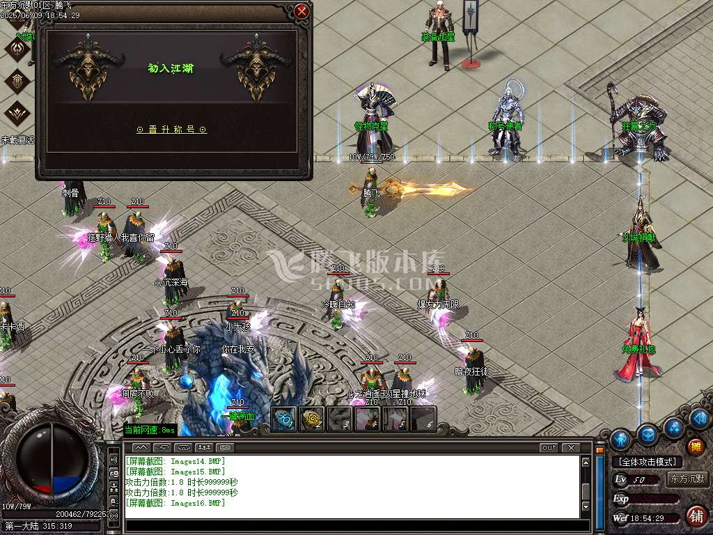 东方沉默单职业-esp插件