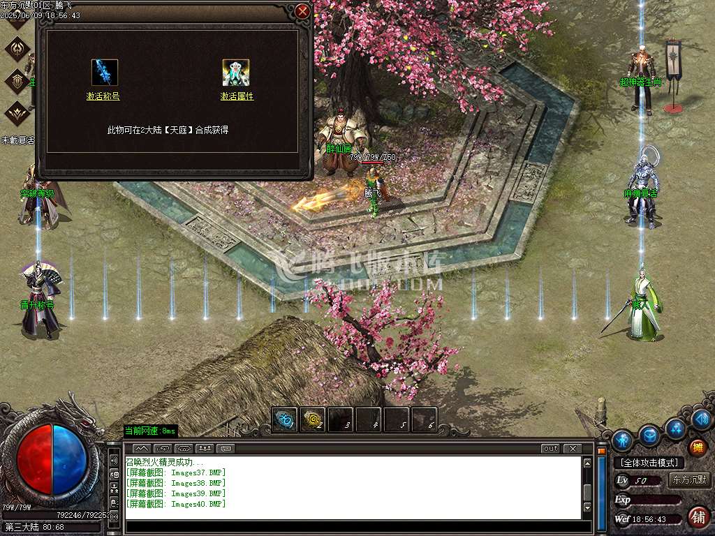 东方沉默单职业-esp插件