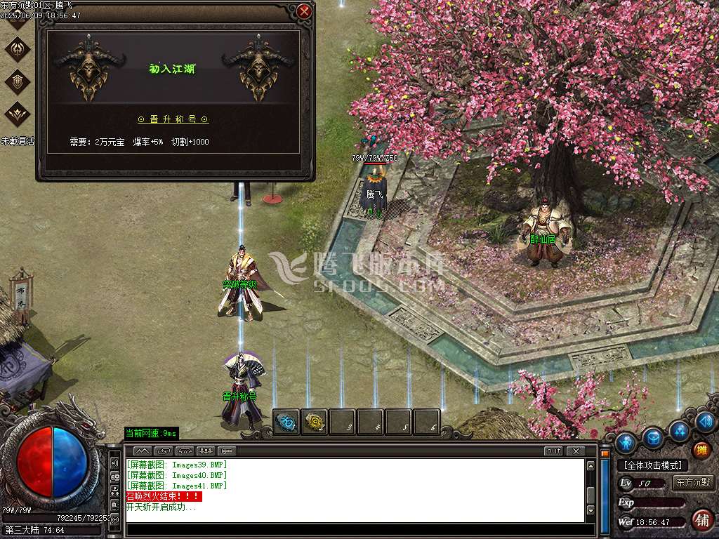 东方沉默单职业-esp插件