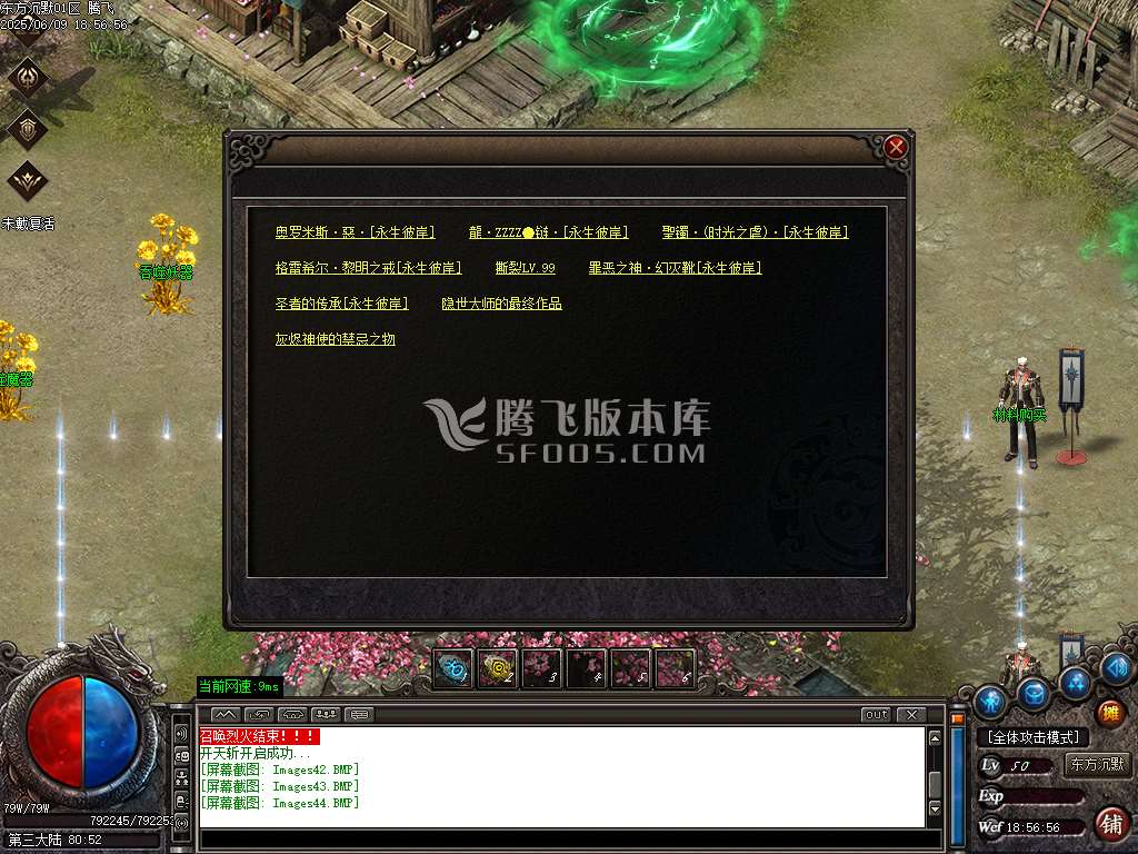 东方沉默单职业-esp插件