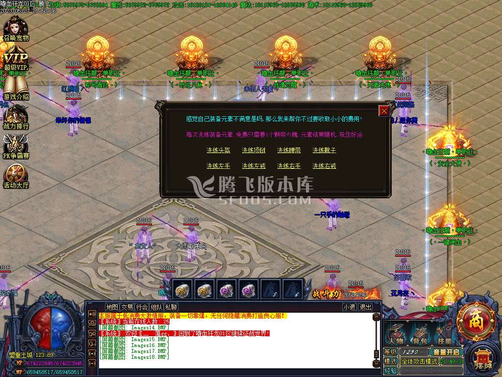 嗜血狂龙激情单职业-pg插件