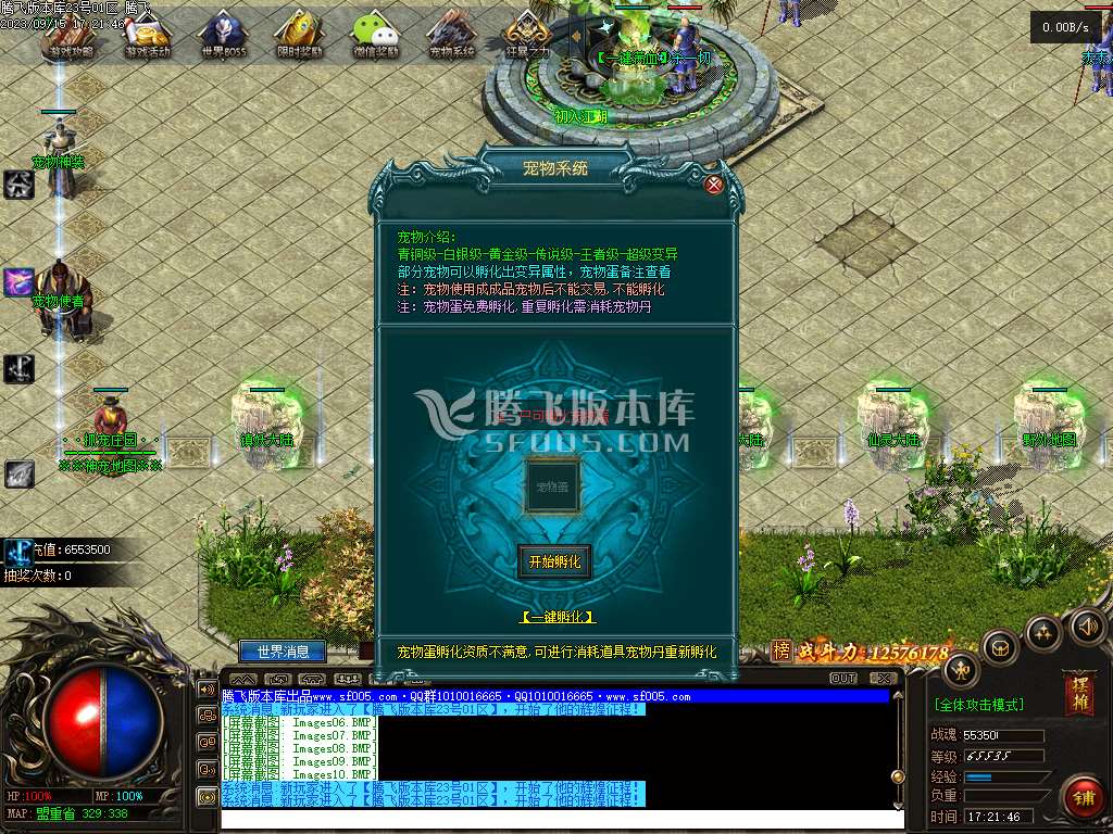 神之魔宠神器单职业