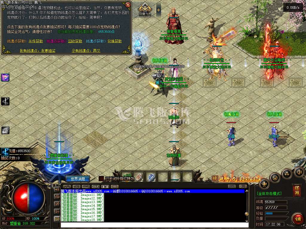 神之魔宠神器单职业