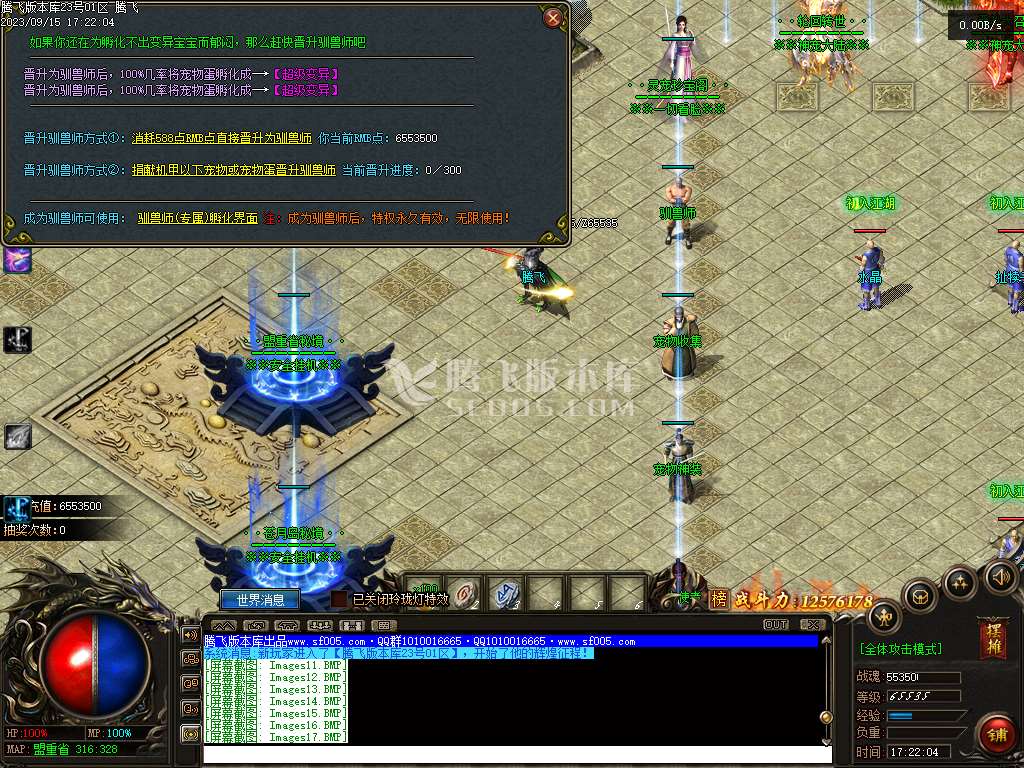 神之魔宠神器单职业