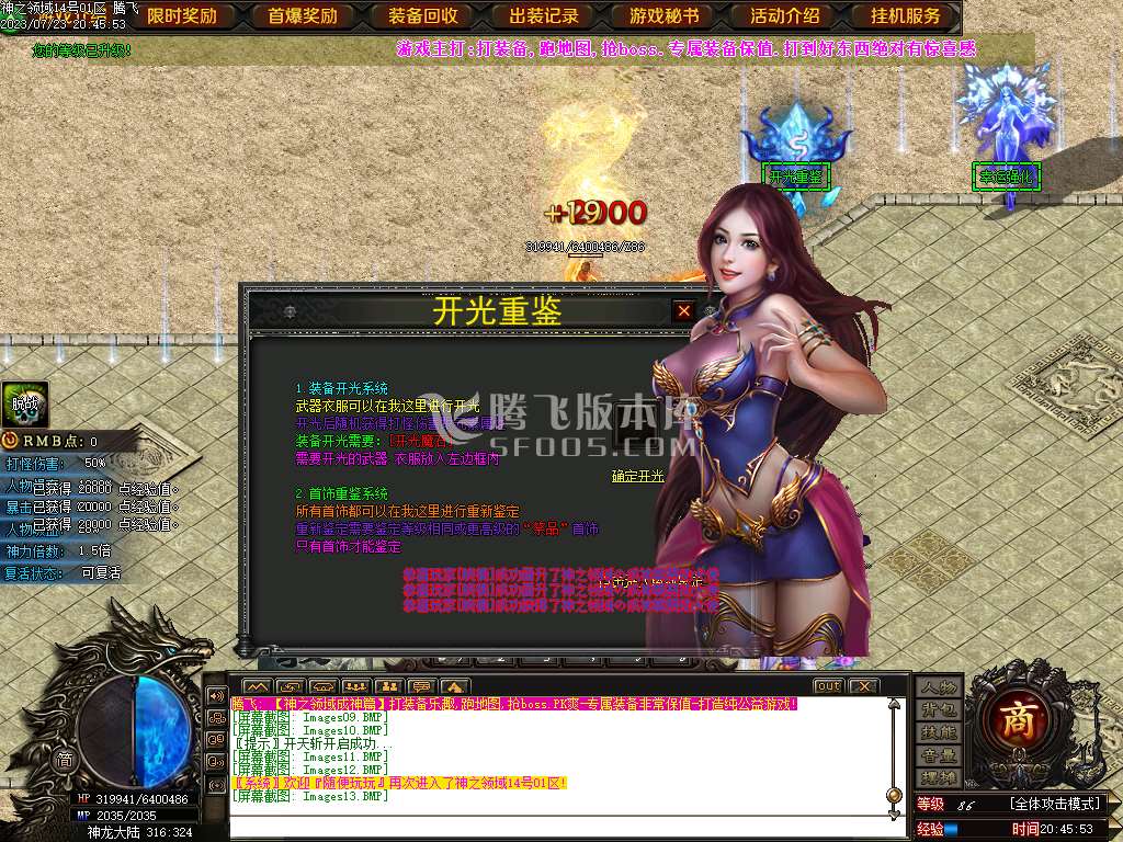 神之领域成神篇专属神器单职业-esp插件