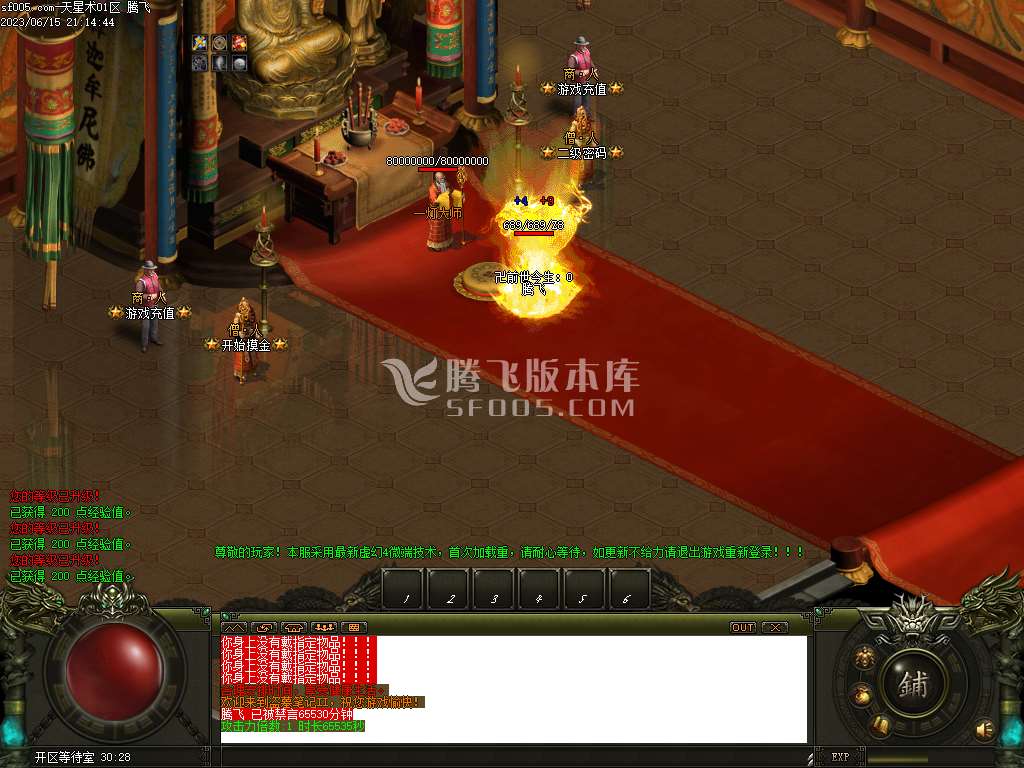 鬼吹灯天星术复古单职业