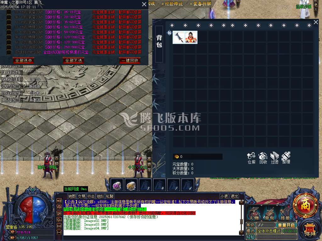神魔之墓专属神器公益单职业-esp/sd插件