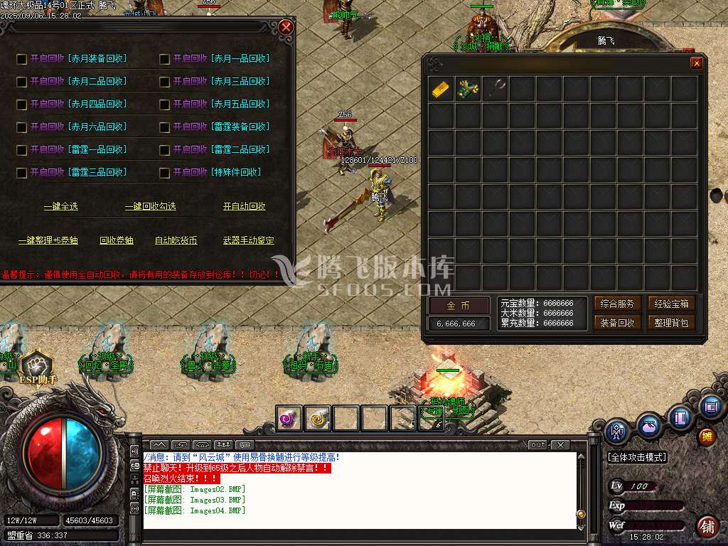 1.85魂环大极品攻速单职业-esp/sd插件