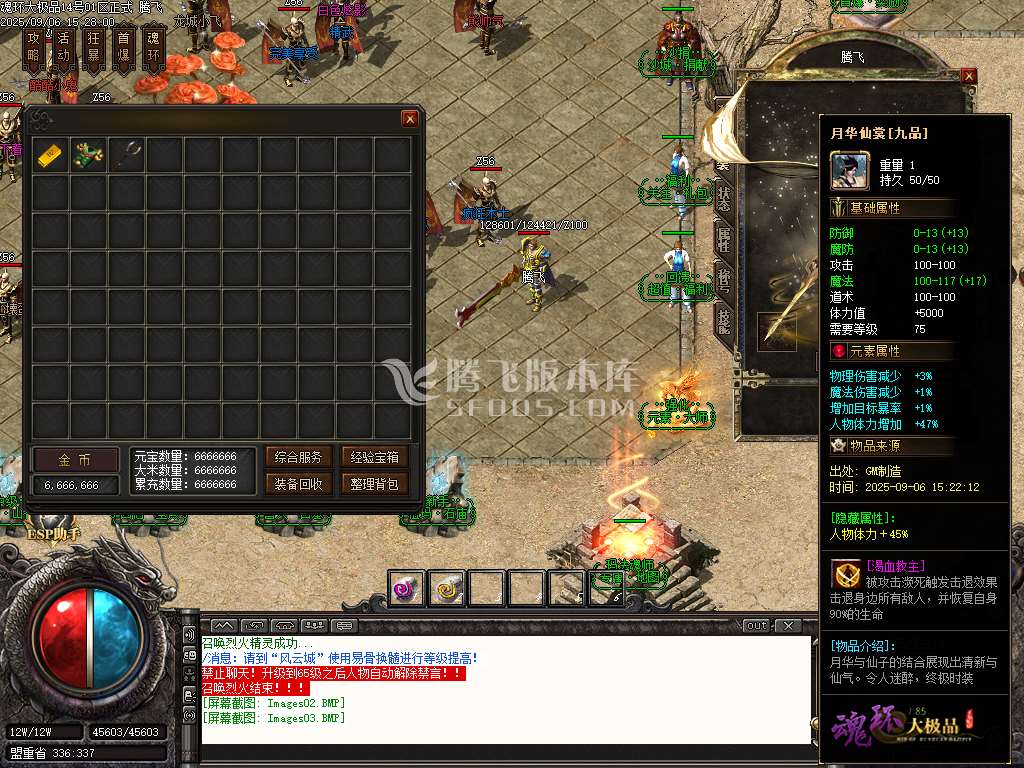 1.85魂环大极品攻速单职业-esp/sd插件