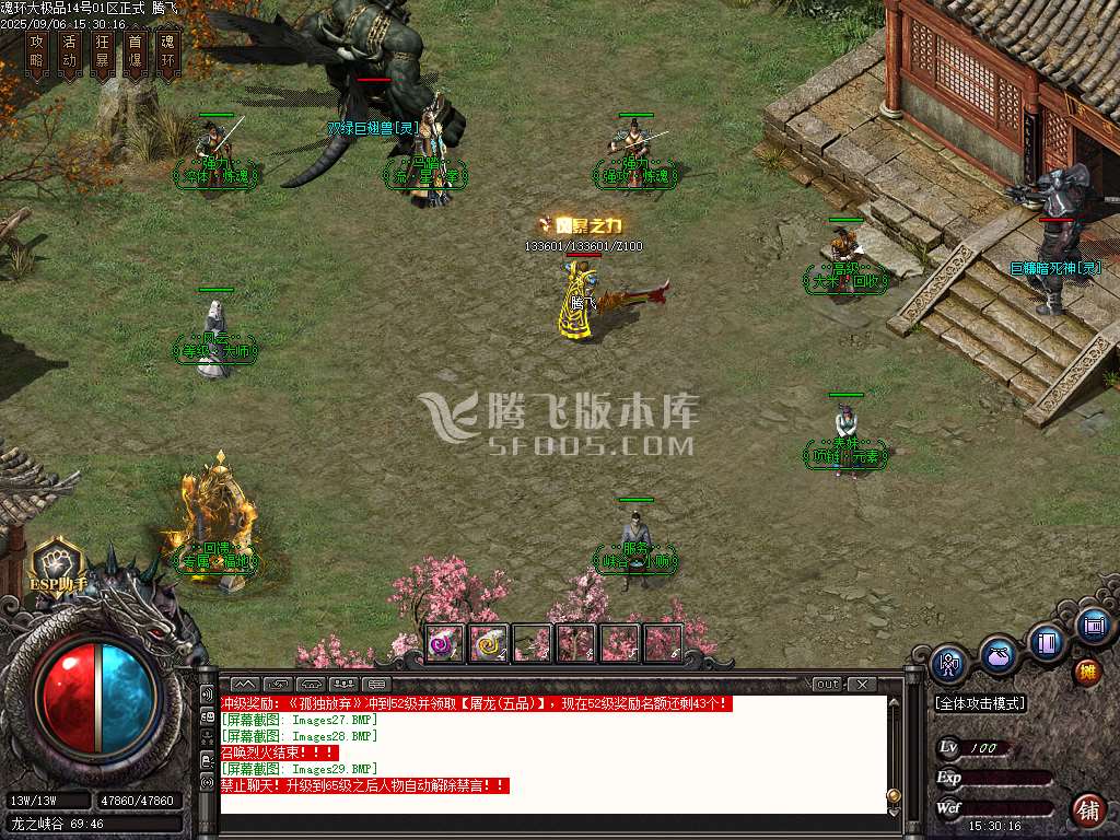 1.85魂环大极品攻速单职业-esp/sd插件