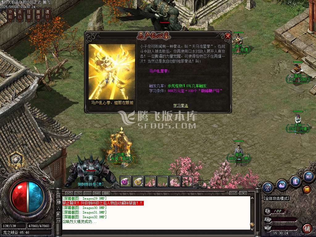 1.85魂环大极品攻速单职业-esp/sd插件