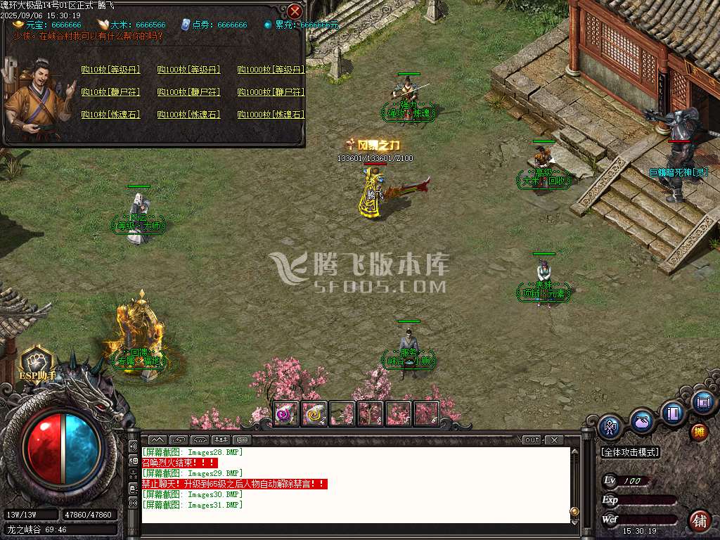 1.85魂环大极品攻速单职业-esp/sd插件