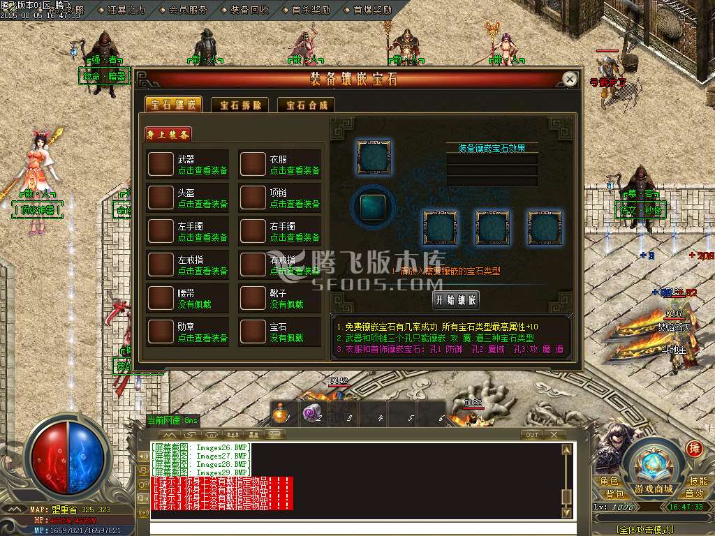 最强散人专属神器单职业双种族-esp插件