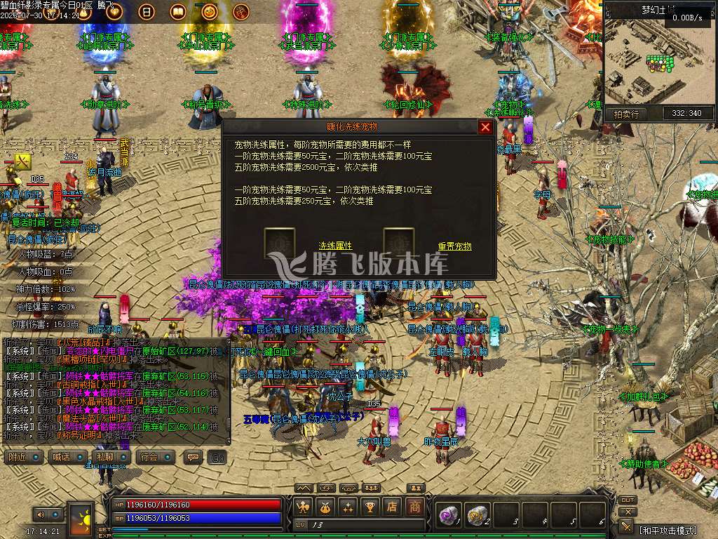碧血纤影录专属暗黑战宠六职业