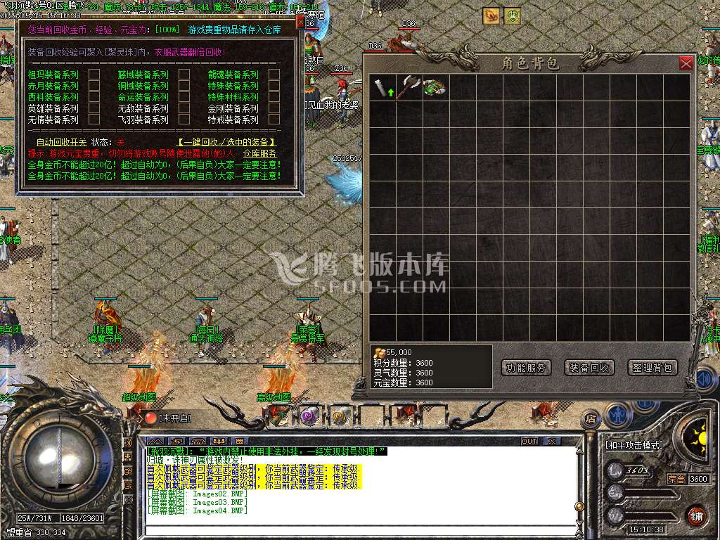 飞羽沉默专属复古三职业-esp插件