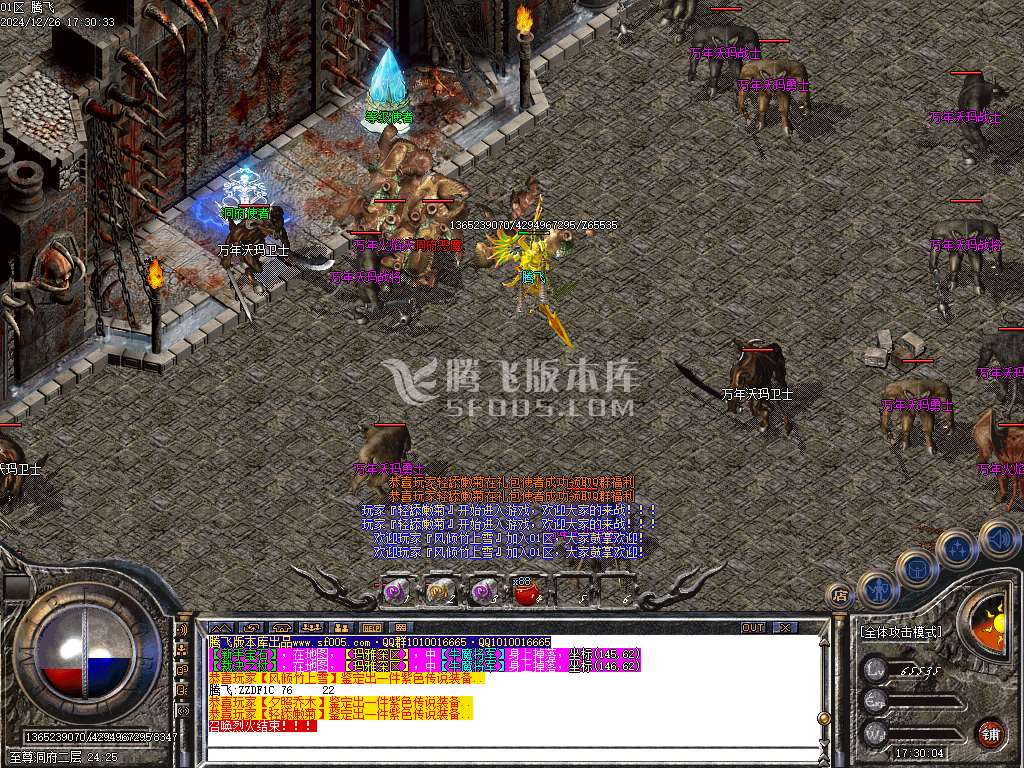 1.76神龙大极品单职业-esp插件