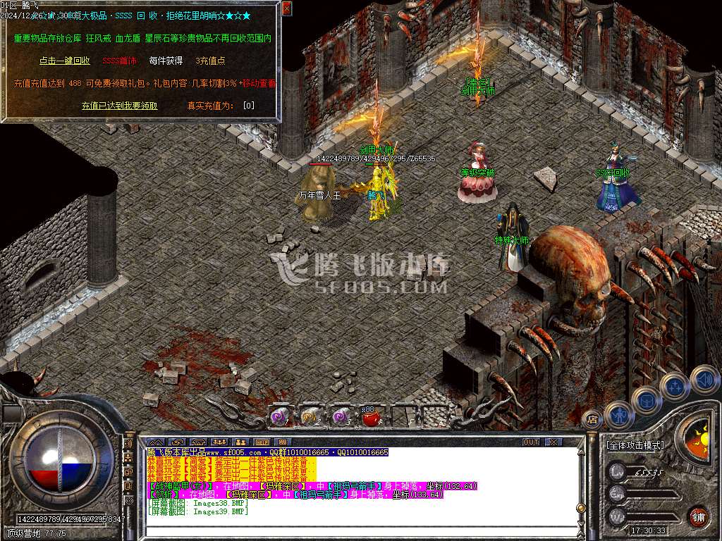 1.76神龙大极品单职业-esp插件