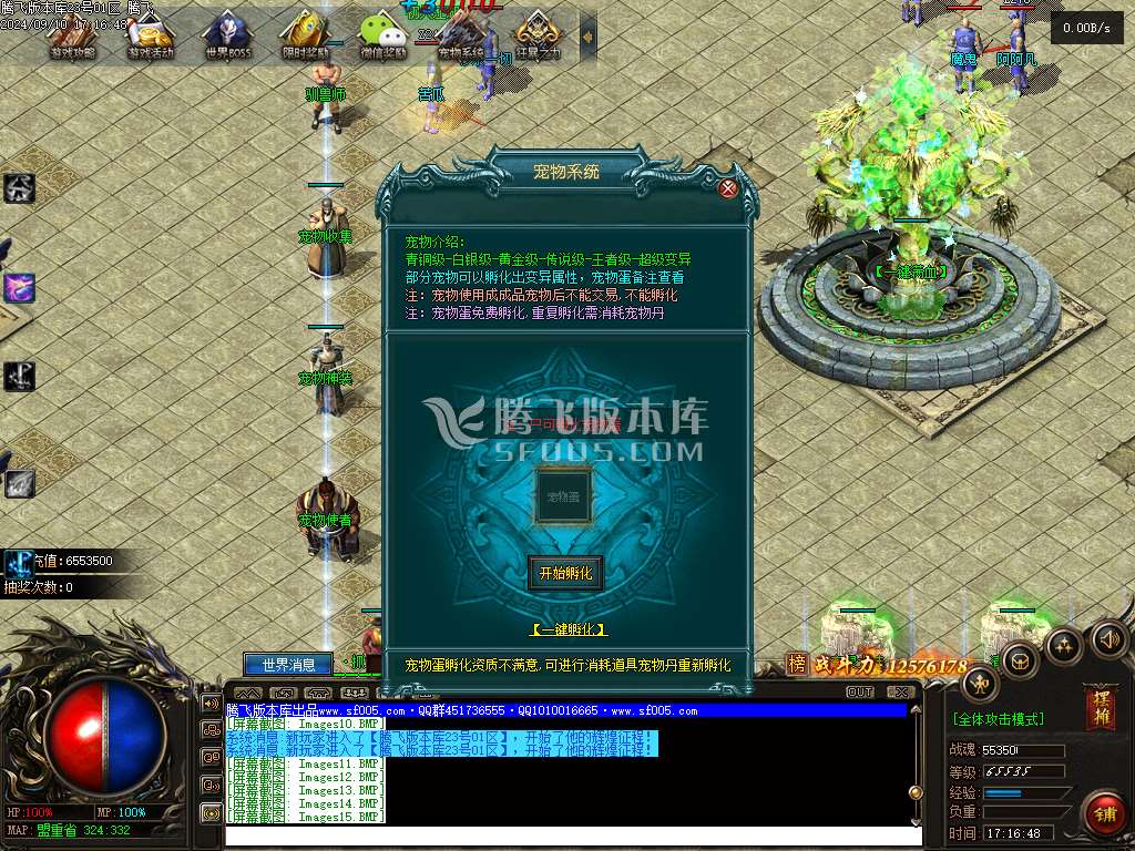 神之魔宠十六大陆宠物专属单职业