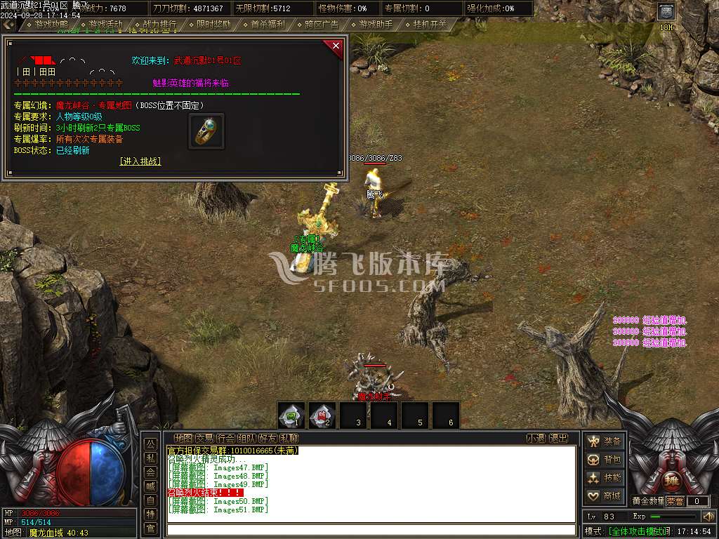武道沉默迷失专属单职业