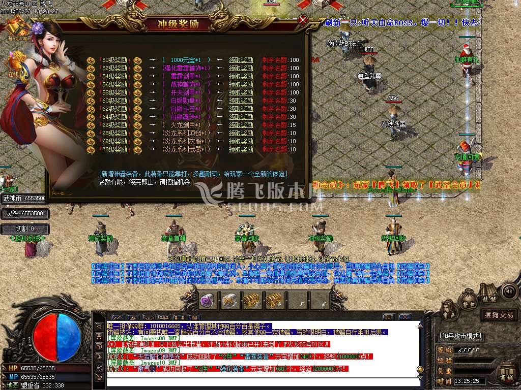 1.80轻微变元素神武火龙三职业-esp插件
