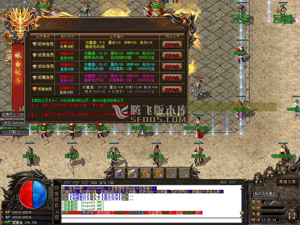 1.80轻微变元素神武火龙三职业-esp插件