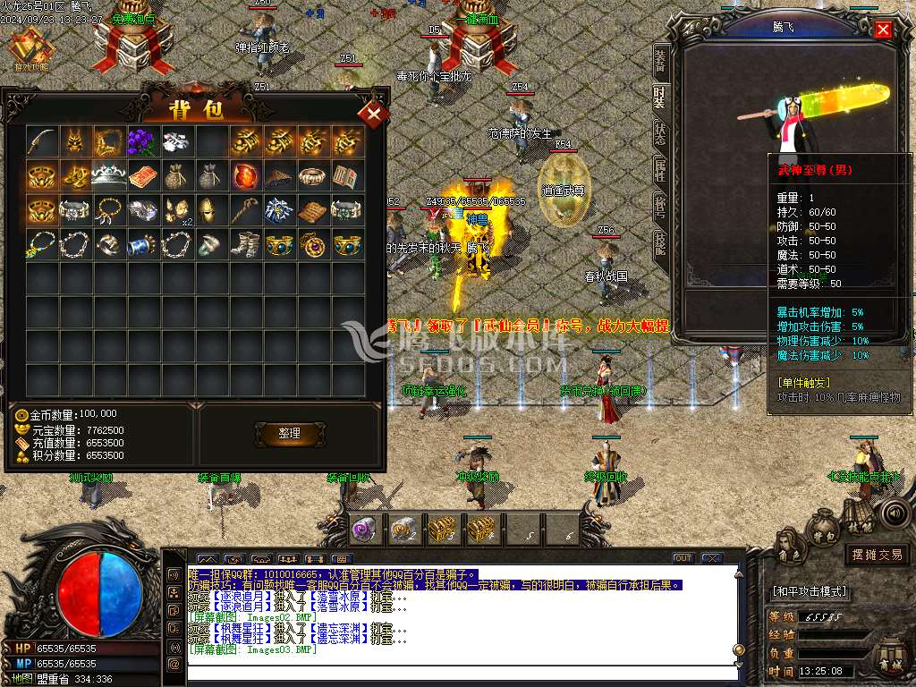 1.80轻微变元素神武火龙三职业-esp插件