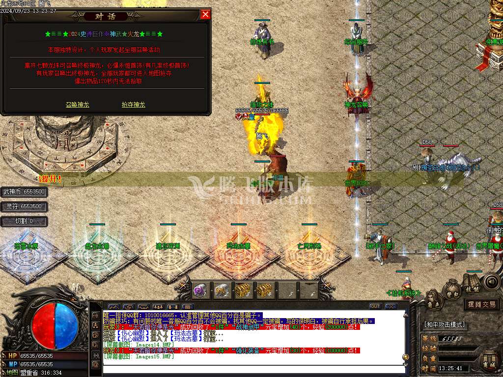 1.80轻微变元素神武火龙三职业-esp插件