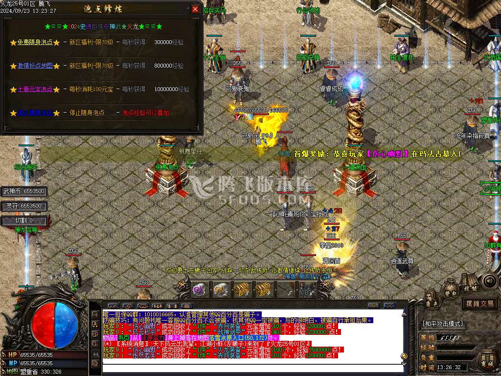 1.80轻微变元素神武火龙三职业-esp插件