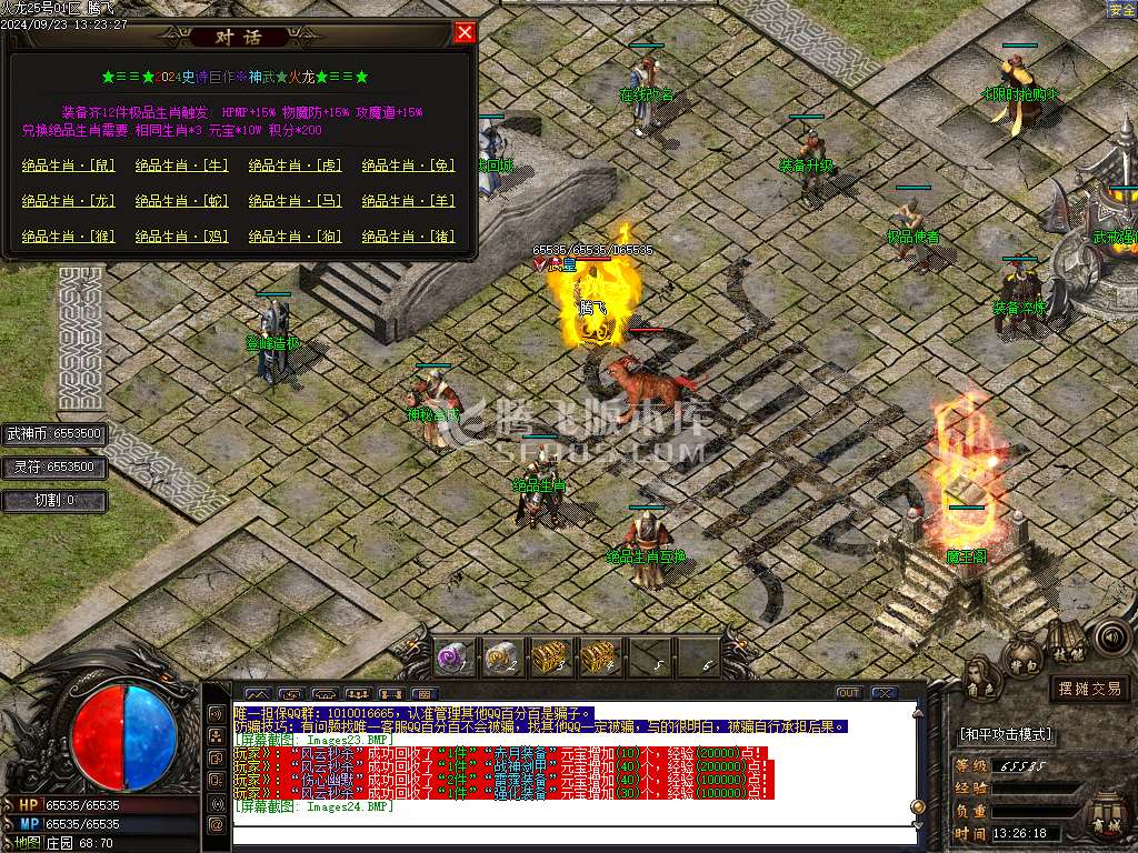 1.80轻微变元素神武火龙三职业-esp插件