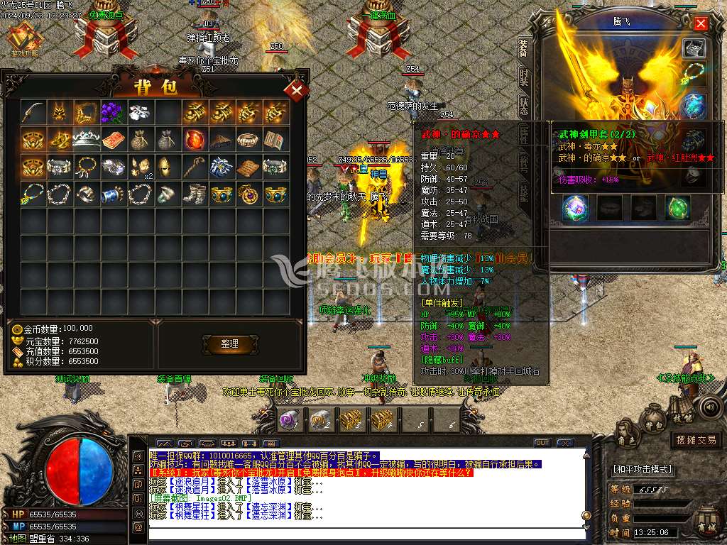 1.80轻微变元素神武火龙三职业-esp插件
