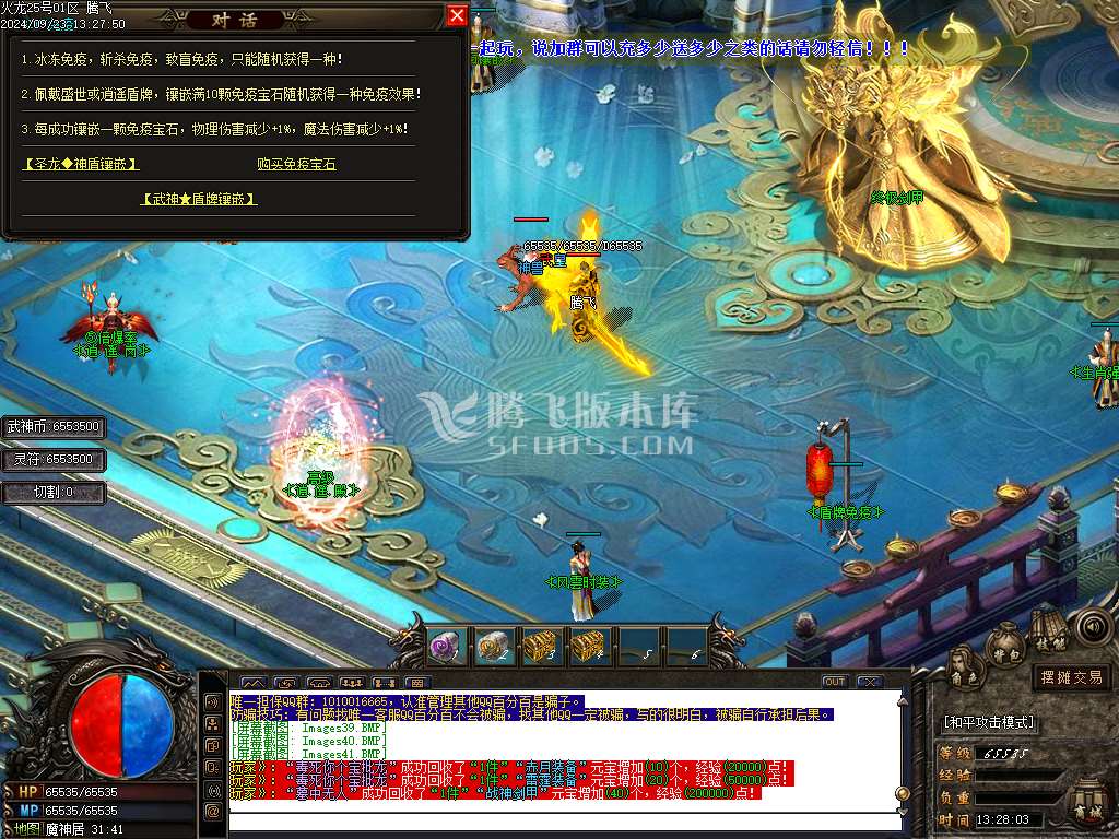 1.80轻微变元素神武火龙三职业-esp插件