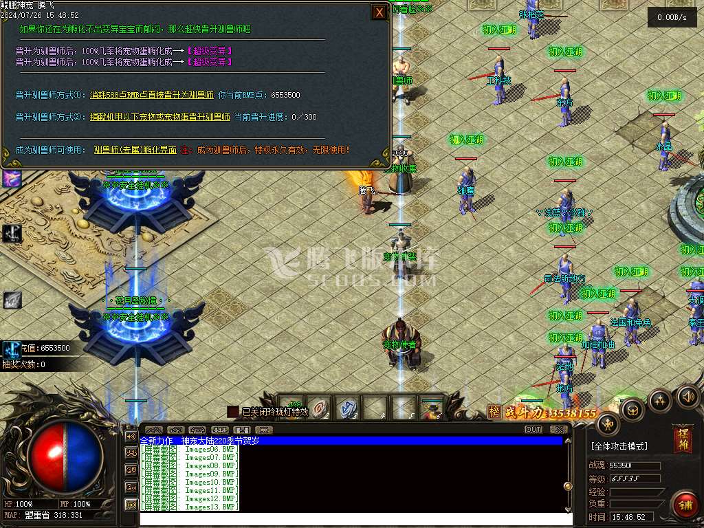 鲲鹏神宠单职业