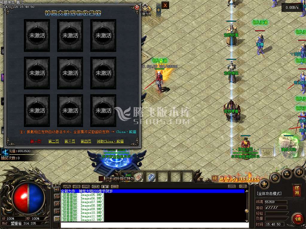 鲲鹏神宠单职业