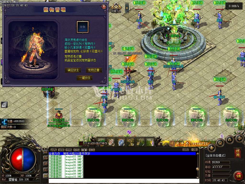 鲲鹏神宠单职业
