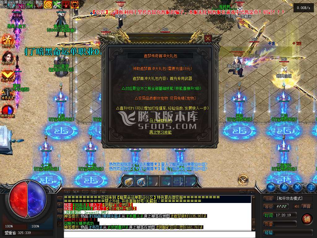 暗黑命运宠物单职业