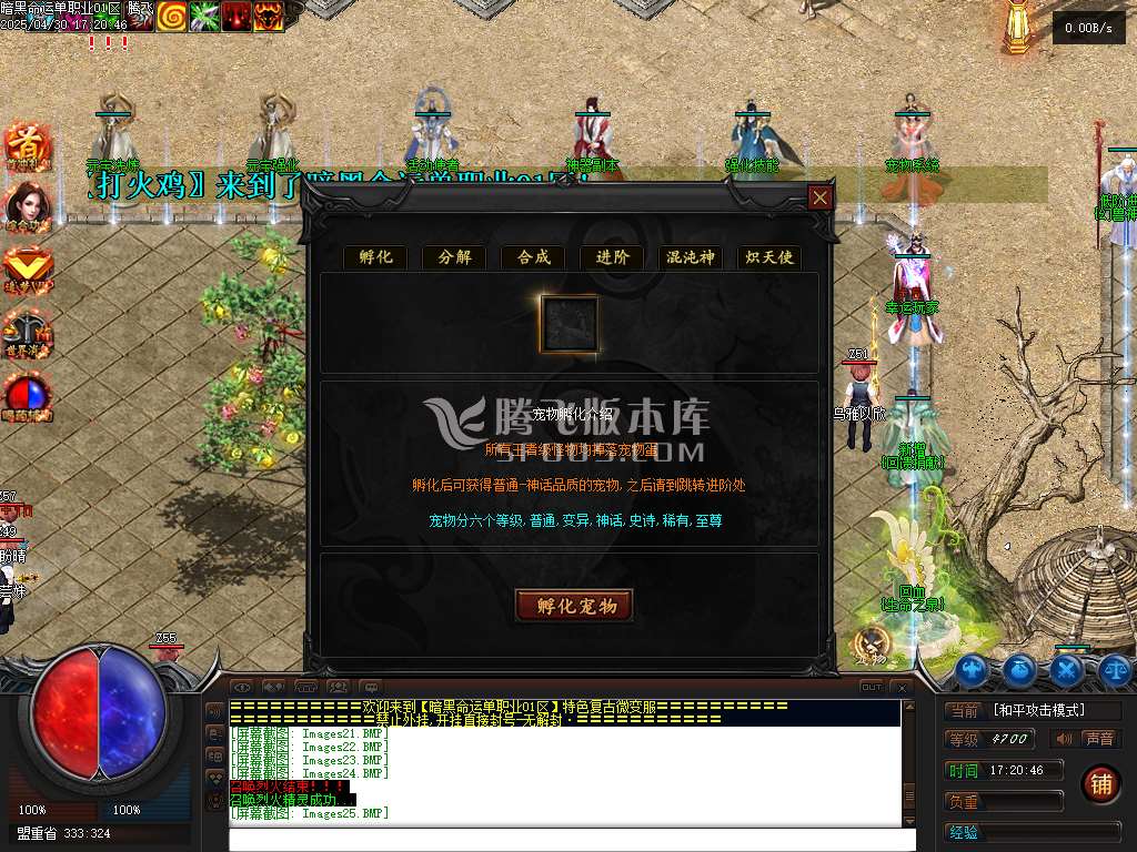 暗黑命运宠物单职业
