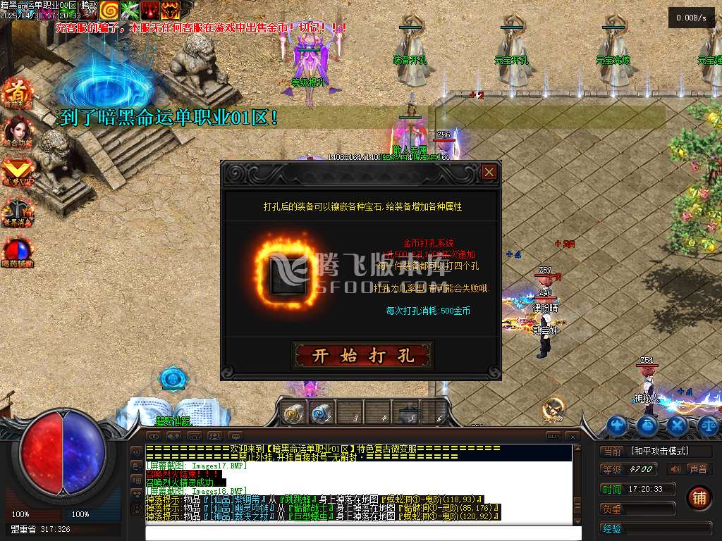 暗黑命运宠物单职业