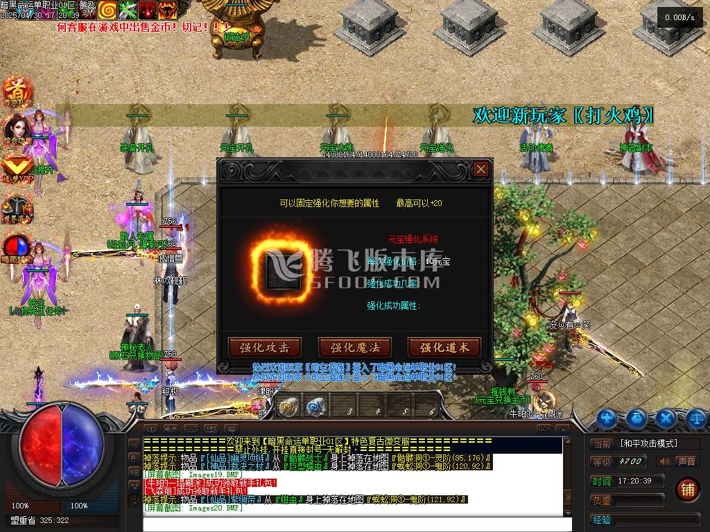 暗黑命运宠物单职业