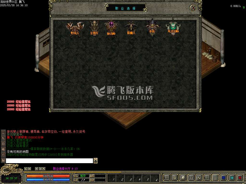 流放世界六职业