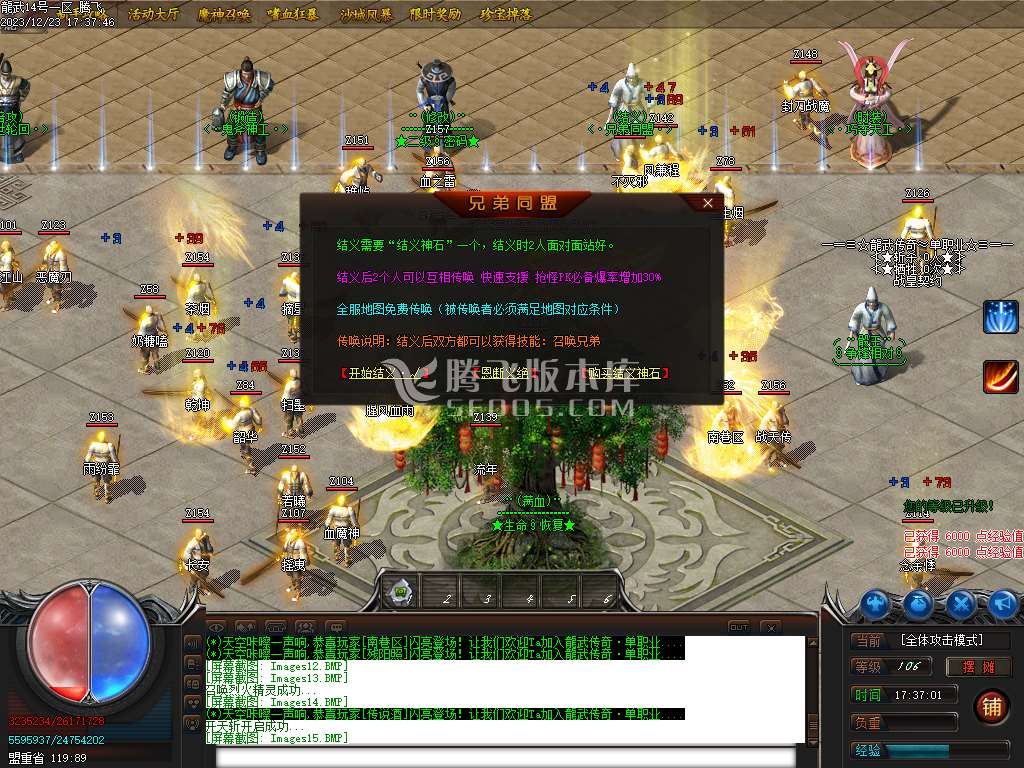 独家龍武单职业