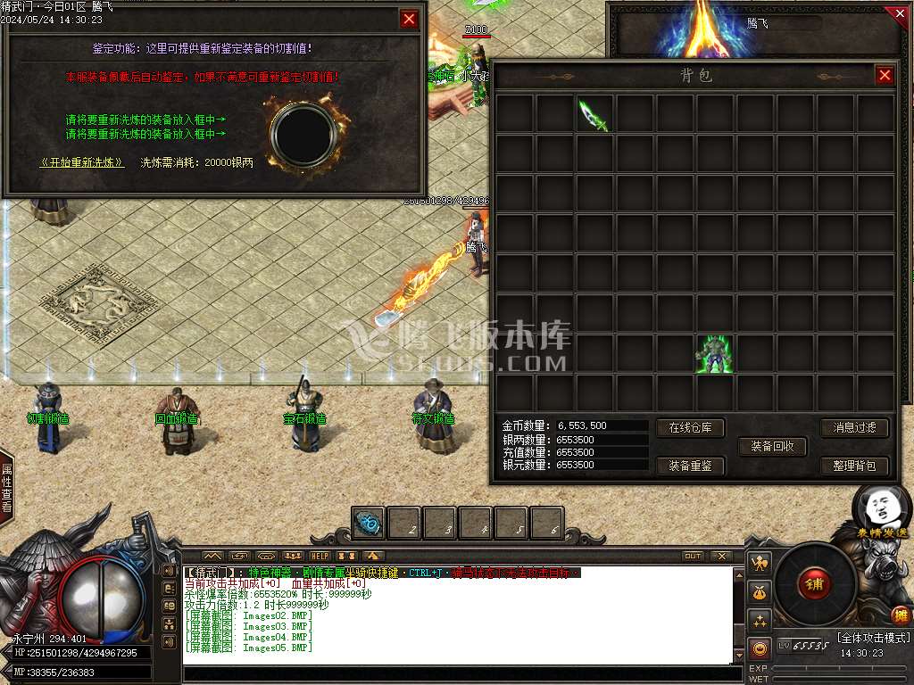 精武门火龙剧情专属单职业-esp/wxf插件
