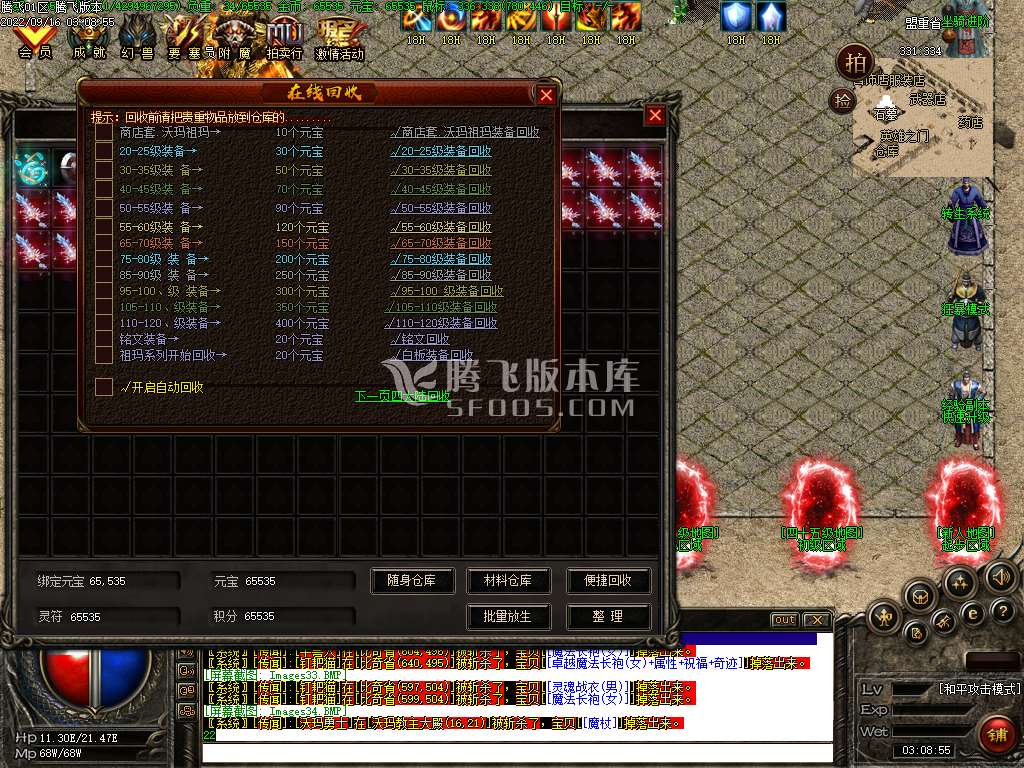 无限召唤宠物坐骑暗黑鉴定三职业