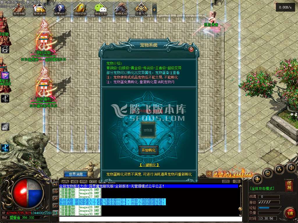 异界魔宠专属单职业