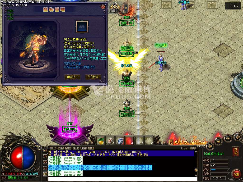 神宠大陆神器单职业