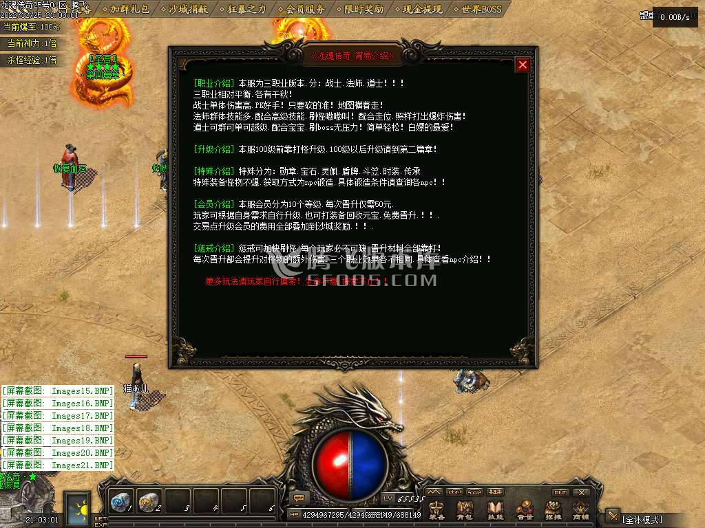龙魂传奇微变三职业